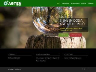 Diseño web profesional Agten del Perú